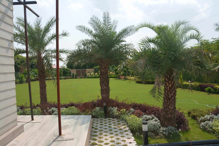 Garden, sector 135  1200 Sq.Ft. Plot In Sector 135 Noida 8764692