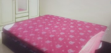 Room in  Pg at Cbd Belapur Sector 4 – for Rent