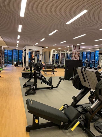 Gym in 5 BHK Apartment at Lodha The Park, Worli – for Rent