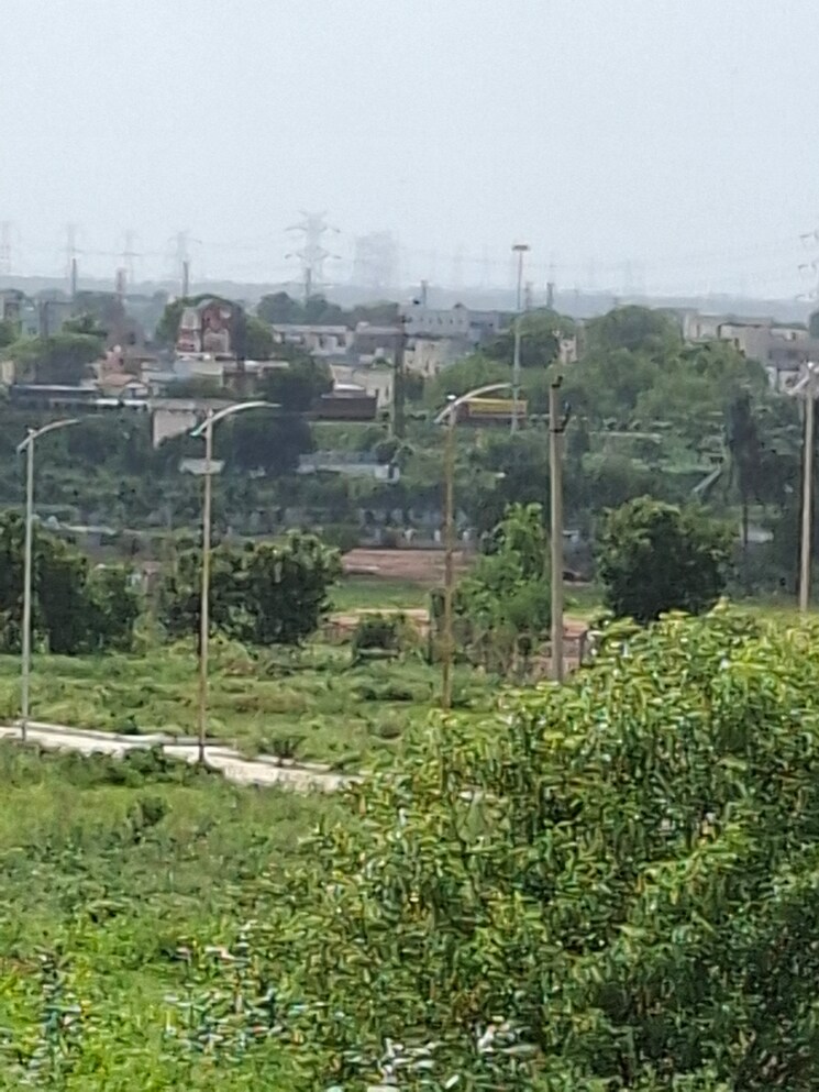 Exterior View, shadnagar  167 Sq.Yd. Plot In Shadnagar Hyderabad 8765021