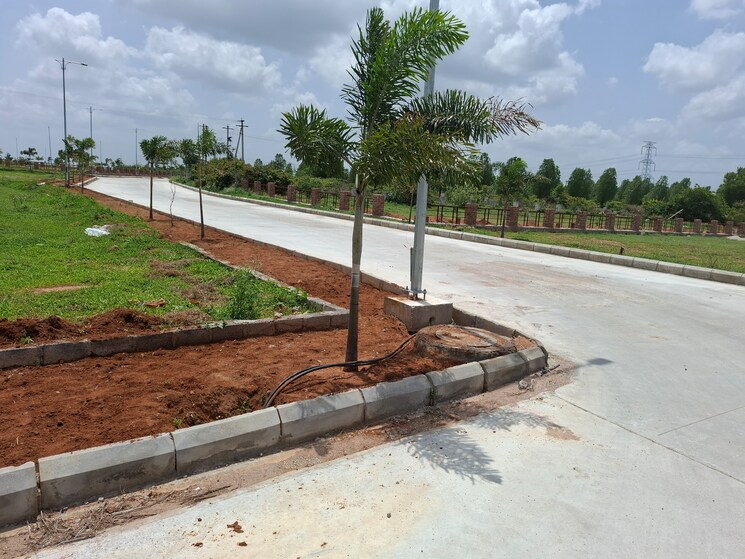 undefined, shadnagar  167 Sq.Yd. Plot In Shadnagar Hyderabad 8765021