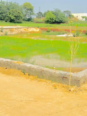 Plot Area in  Plot at Sega Enclave, Duhai – for Sale