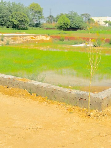 Plot Area in  Plot at Sega Enclave, Duhai – for Sale