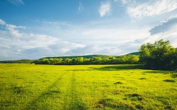 Plot For Sale in Shirwal