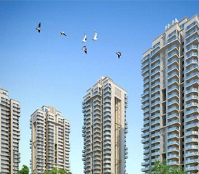 3 BHK + Pooja Room Apartment For Rent in Amrapali Dream Valley
