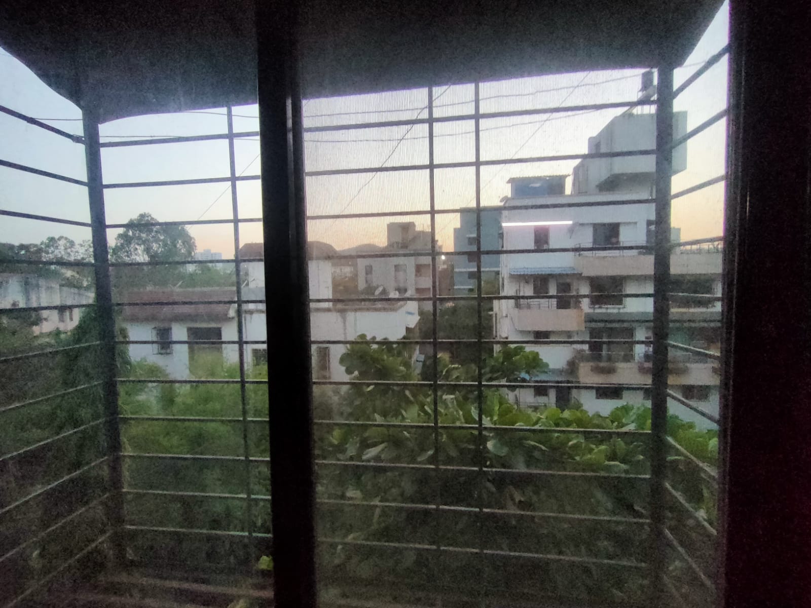 1 BHK Apartment For Rent in Rupali CHS Kothrud