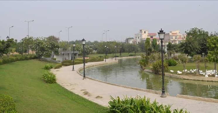 Exterior View, gaur-yamuna-city Commercial Land 93 Sq.Yd. In Gaur Yamuna City Greater Noida 8766257