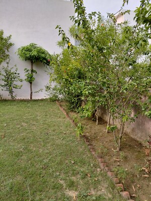  Plot For Sale in New Moradabad