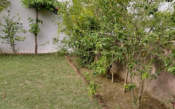 Plot For Sale in New Moradabad