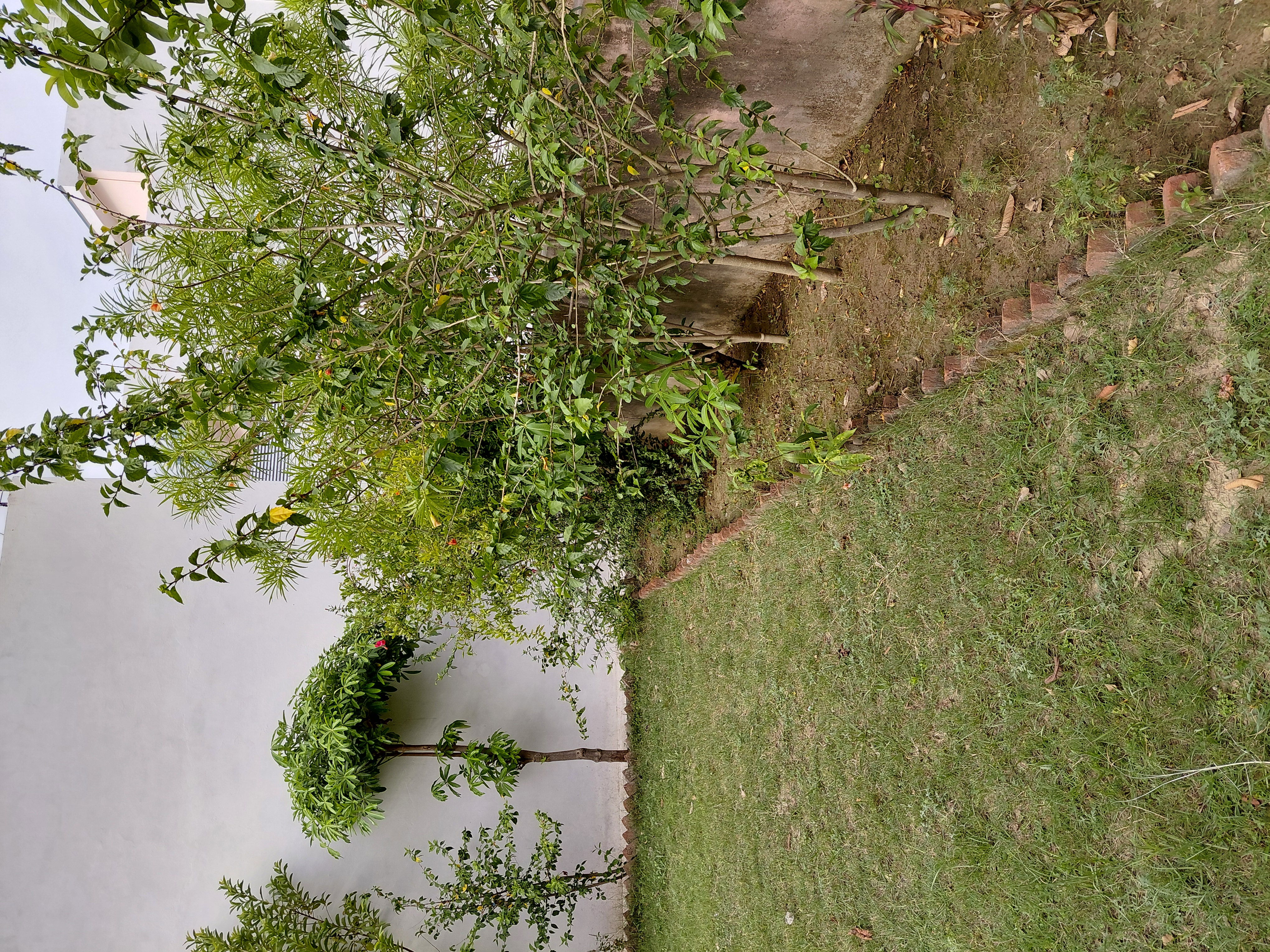 Plot For Sale in New Moradabad