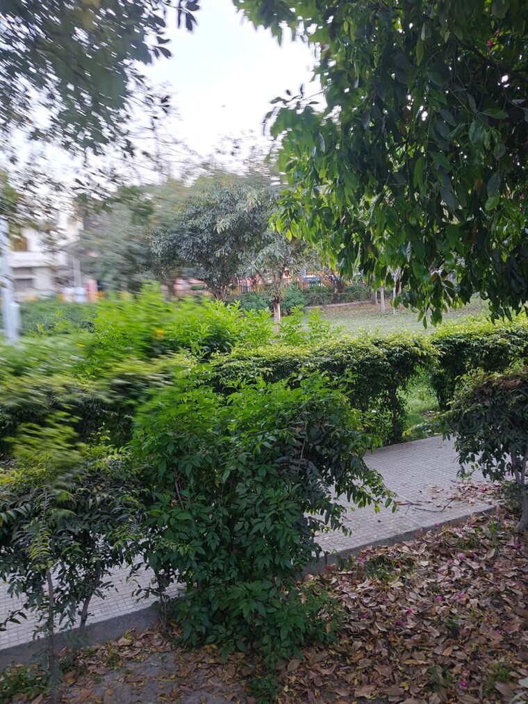 Garden, sector 26 6+ Bedroom 171 Sq.Mt. Villa In Sector 26 Noida 8766314