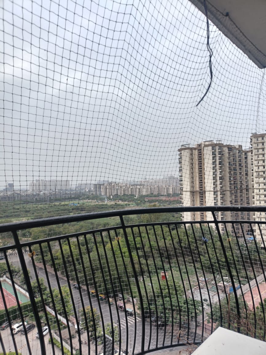 2 BHK Apartment For Sale in Krishna Villa Sector 16B