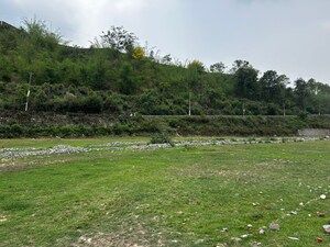 Plot Area in  Plot at Bhauwala – for Sale