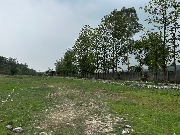 undefined, bhauwala  100 Sq.Yd. Plot In Bhauwala Dehradun 8766518