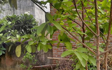 Plot For Sale in New Moradabad