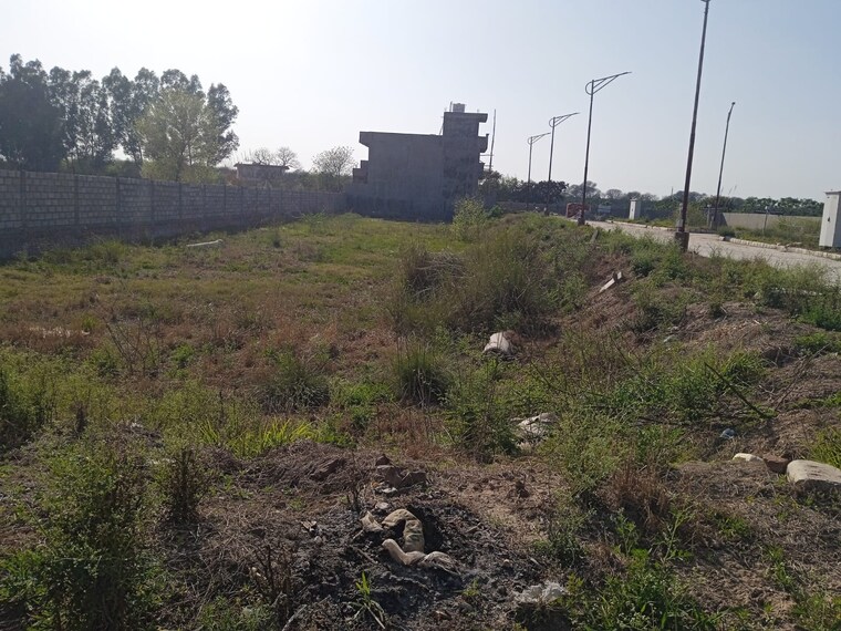 undefined, sector 110  500 Sq.Yd. Plot In Sector 110 Mohali 8766678