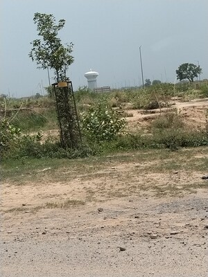  Plot For Sale in Yamuna Expressway