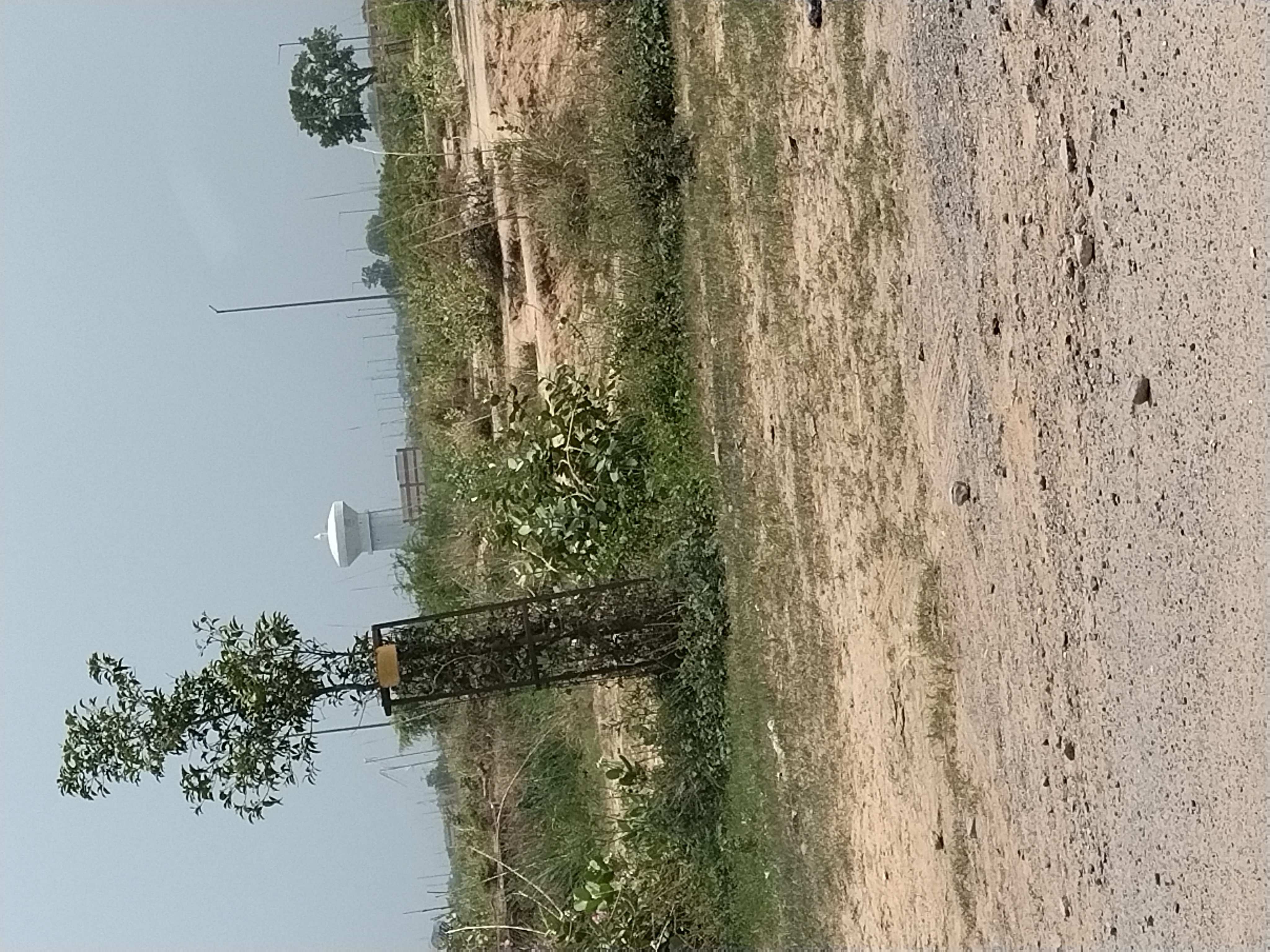 Plot For Sale in Yeida 