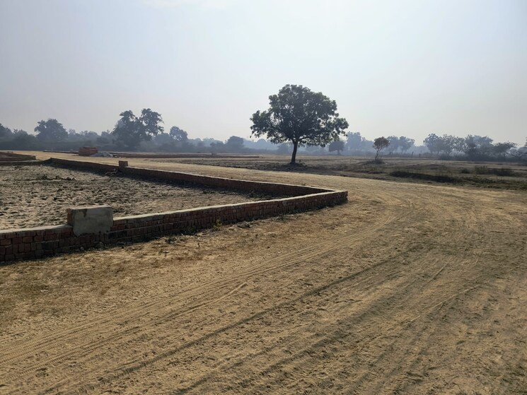 undefined, raebareli road  1100 Sq.Ft. Plot In Raebareli Road Lucknow 8766797