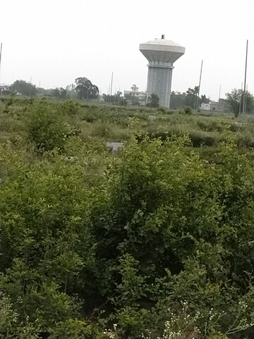  Plot – Exterior View View at Yamuna Expressway - for Sale