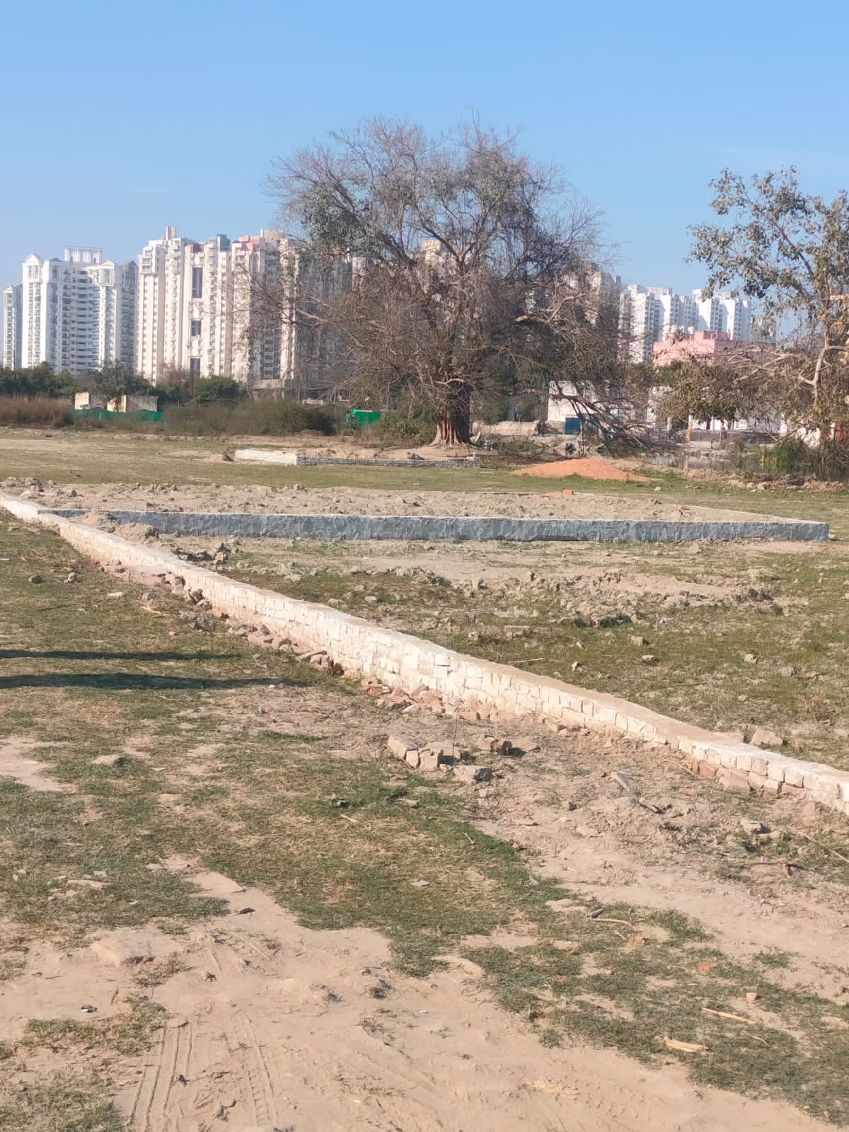 Plot For Sale in Sector 168