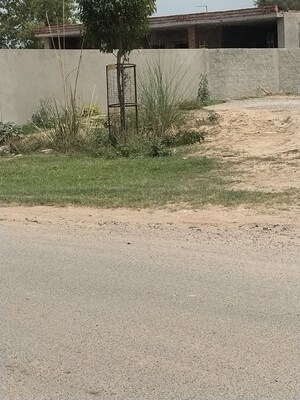  Land – Exterior View View at Yamuna Expressway - for Sale