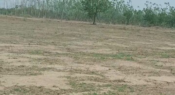 Plot Area in  Plot at Bhongiri Warangal Highway – for Sale