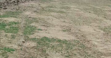 Plot Area in  Plot at Bhongiri Warangal Highway – for Sale