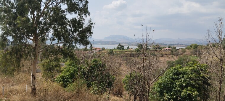 undefined, igatpuri  1 Acre Plot In Igatpuri Nashik 8767307