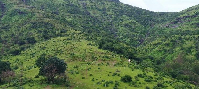 Exterior View, igatpuri  2575 Sq.Ft. Plot In Igatpuri Nashik 8767448