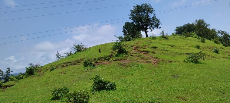 Exterior View, igatpuri  2575 Sq.Ft. Plot In Igatpuri Nashik 8767448