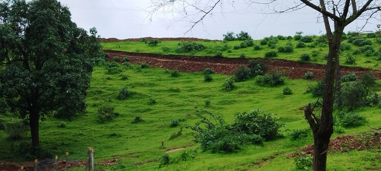 undefined, igatpuri  2575 Sq.Ft. Plot In Igatpuri Nashik 8767448