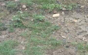 Plot For Sale in Narendra Nagar