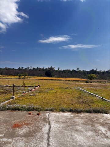 Plot Area in  Plot at Bhauwala – for Sale