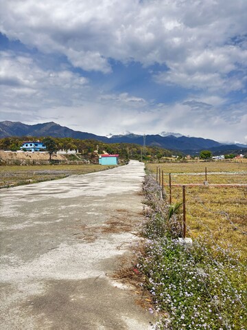 Plot Area in  Plot at Bhauwala – for Sale