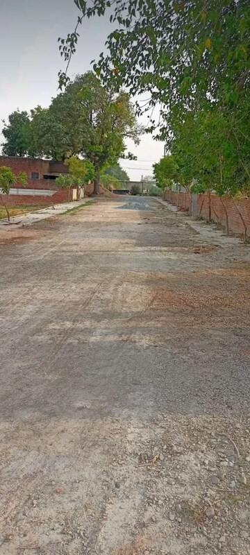 Plot Area in  Plot at Babatpur – for Sale