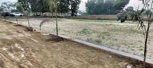  Plot For Sale in Babatpur