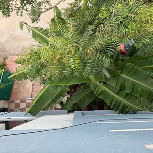 3 BHK Villa – Garden View at Sainikpuri - for Sale