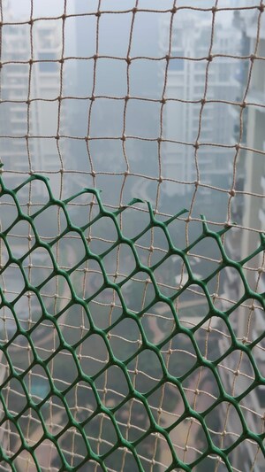 2.5 BHK Apartment – Exterior View View at Ajnara Daffodil, Sector 137 - for Sale