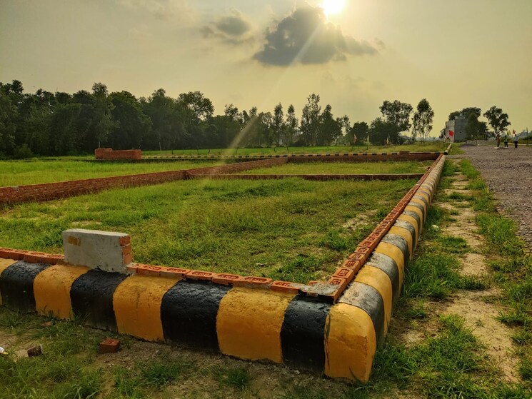 Garden, sarojini nagar  1250 Sq.Ft. Plot In Sarojini Nagar Lucknow 8768022