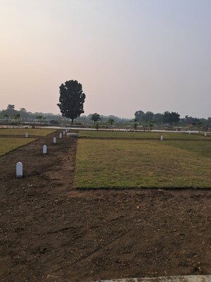 Plot Area in  Plot at Karamchand Greens, Sondapar – for Sale