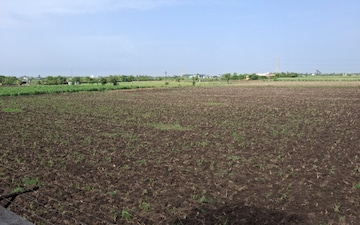 Land For Rent in Surat Dumas Road