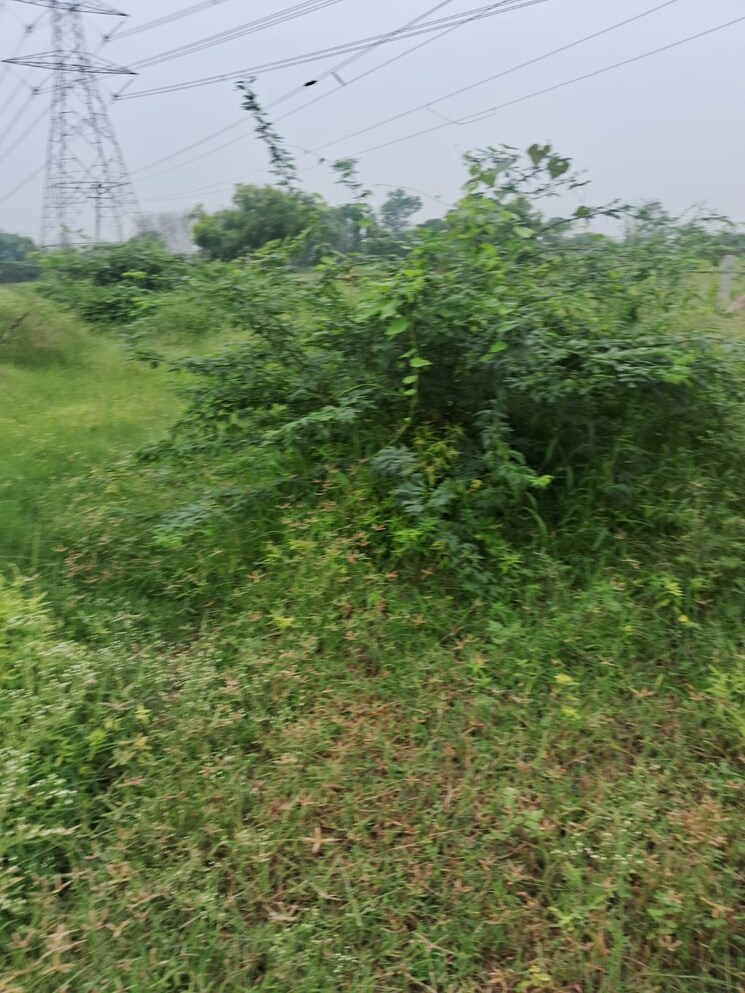 Exterior View, sohna  100 Sq.Yd. Plot In Sohna Gurgaon 8768269