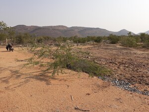 Plot For Sale in Penukonda
