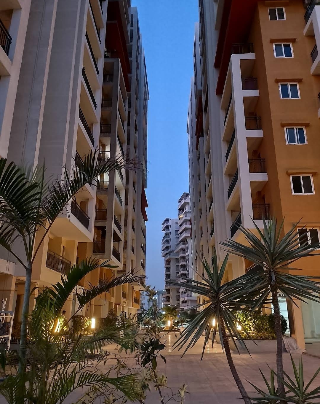 3 BHK 1895 Sq.Ft. Apartment in Bricks Cyberwoods