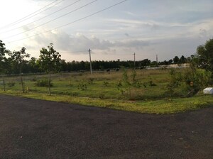 Plot Area in  Plot at Bhogapuram – for Sale