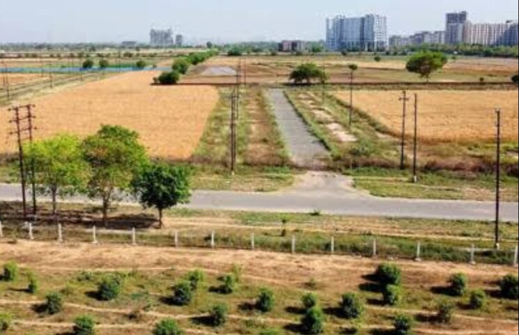 undefined, yeida-plots  400 Sq.Yd. Plot In Dankaur Greater Noida 8768613