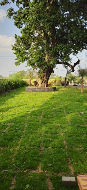  Plot – Garden View at Koni - for Sale