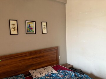 1 BHK Apartment For Rent in Paramount Golfforeste, Zeta I Greater Noida