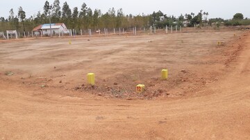 Plot Area in  Plot at Neelagiri – for Sale